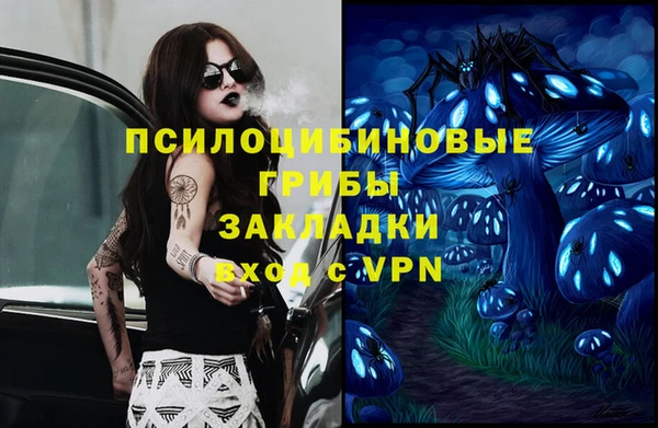 круглые Алзамай