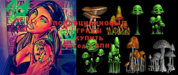круглые Алзамай