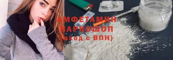 хмурый Алексин