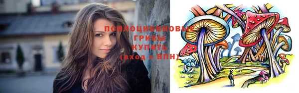 круглые Алзамай