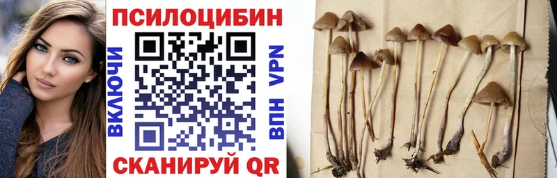 OMG сайт  где продают   Юрьев-Польский  Галлюциногенные грибы Psilocybine cubensis 